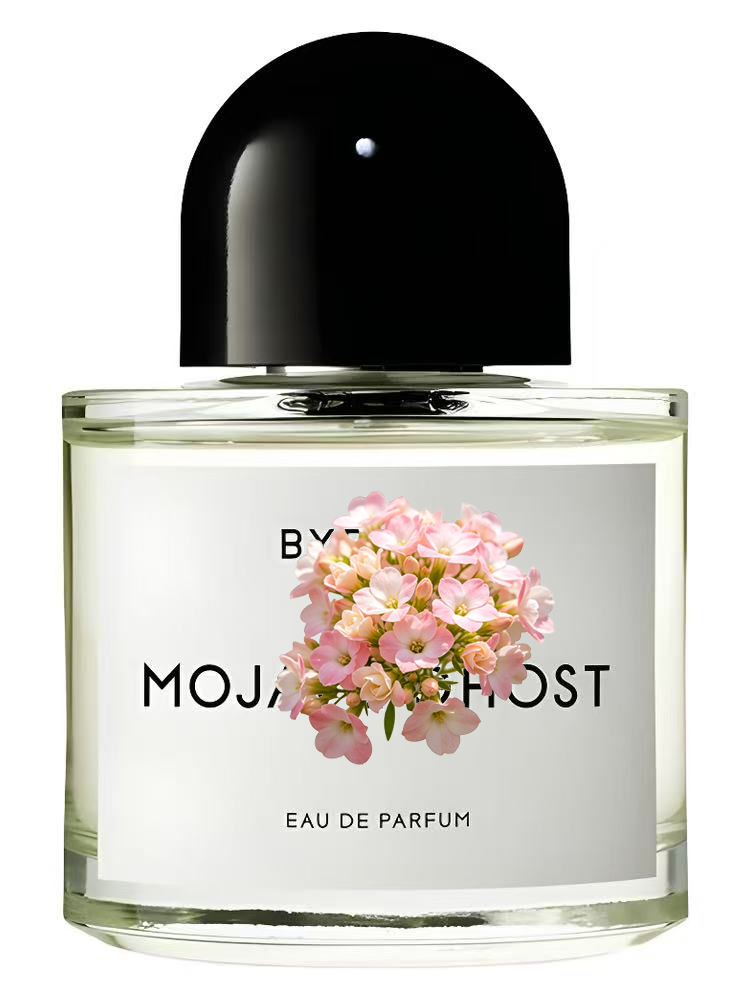 MOJAVE：在庫切れ。ユニセックスのオーデパルファム100 - Amber Musk Oil のレビューと価格